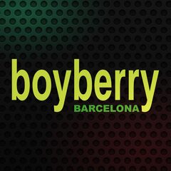 Boyberry